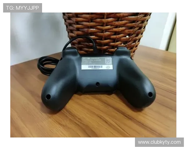 关于KY体育官网app的最新版本下载与安装指南，帮助玩家轻松畅享游戏乐趣