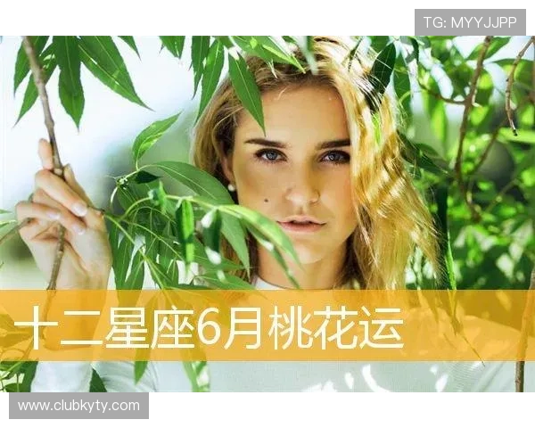 开运网官网：全面介绍开运网的功能与最新活动推荐